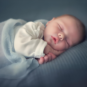 成人在线免费观看网站
