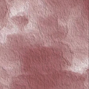 成人在线免费观看网站
