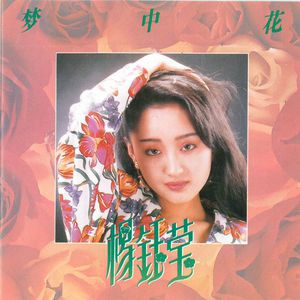 成人在线免费观看网站
