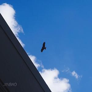 成人在线免费观看网站
